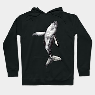 Whale Hoodie